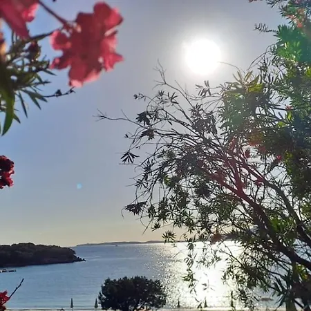 Apartamento Vicino Al Mare Con Giardino E Veranda