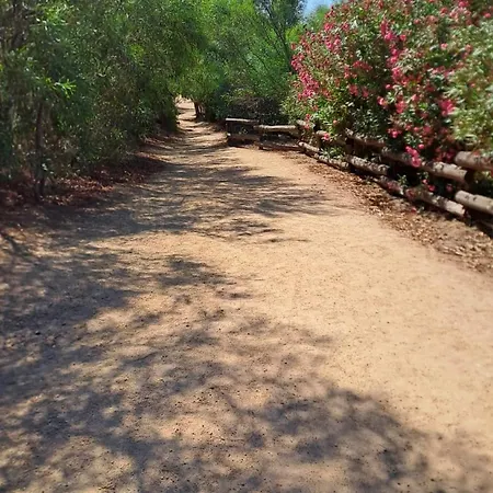 Vicino Al Mare Con Giardino E Veranda Proiettore