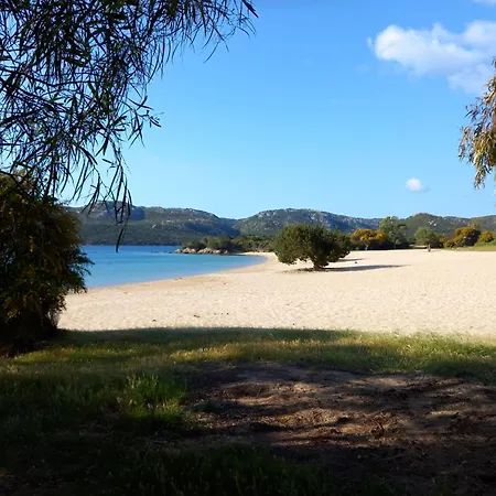 Vicino Al Mare Con Giardino E Veranda *